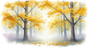 ����������������