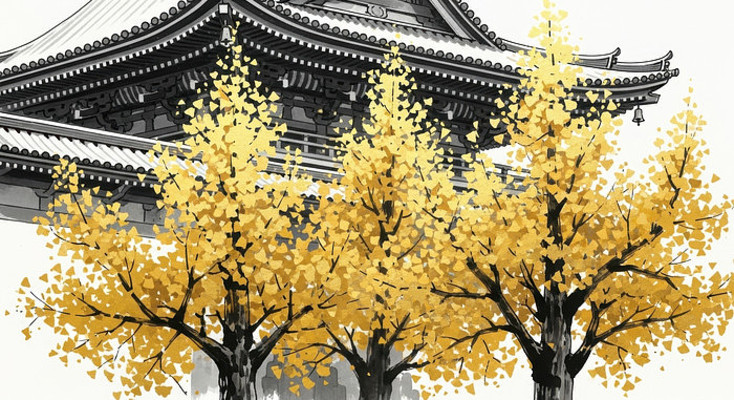 ���������е�������Ž���֮��