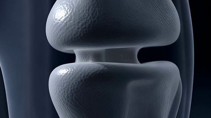 ����ϥ�ؽ�3D��Ⱦչʾ