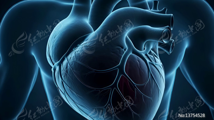 ��������ҽѧչʾ�ز�