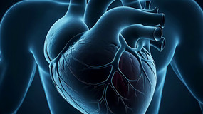 ��������ҽѧչʾ�ز�