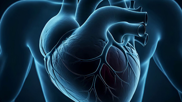 人体心脏医学展示素材 人体心脏医学展示素材