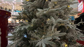 �̳�ʥ��װ������д