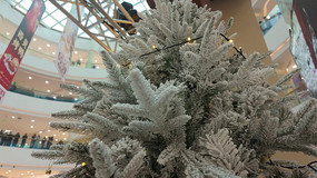 �̳�ʥ��װ������д