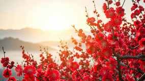 ɽ���÷�ճ�����