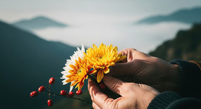 ɽ�������ư׾ջ�