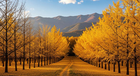 ɽ�����Ӵ�����