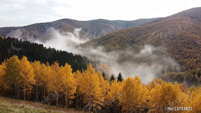 ɽ���ﾰ��������Ȼ���