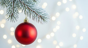 ʥ����������֦