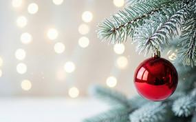 ʥ����������֦