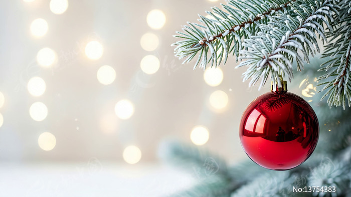 ʥ����װ������д