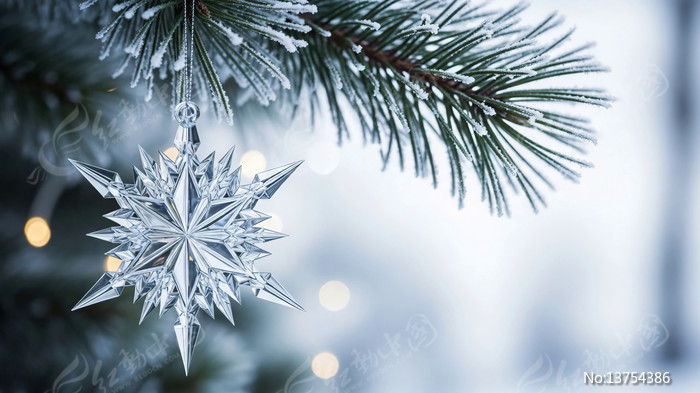 ʥ�����ϵ�ѩ����װ��