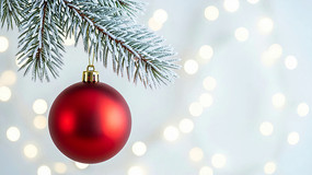 ʥ����֦�ϵĺ�ɫװ����