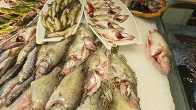 �г��ڷŵ�����ˮ������