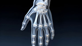 �ֲ�����3Dչʾ