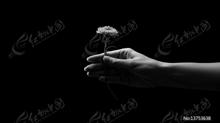 �ֳֻ�����д�����ز�