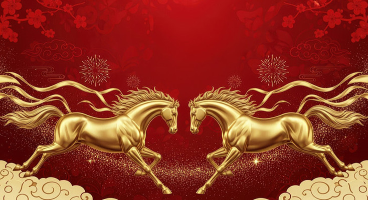 ˫�������𱳾�