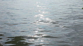 ˮ�沨�����Ե���Ȼ����