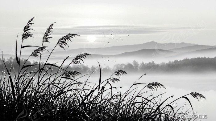 ˮī«έ���⾳����