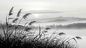 ˮī«έ���⾳����