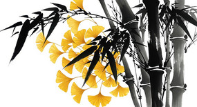 ˮī��������