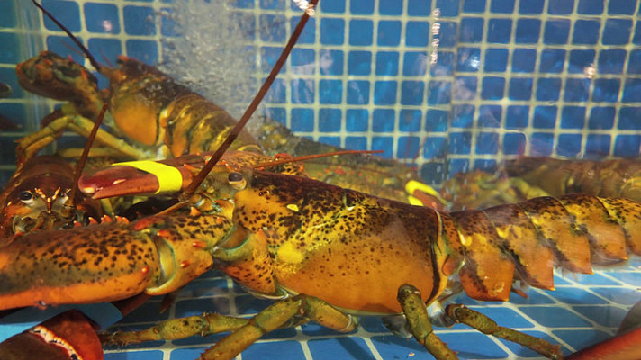 ˮ�����ʻ����Ϻ�ز�