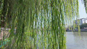 ���ܹ�����ϴ�����Ž���