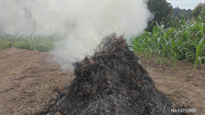 ���ոѷ����������������