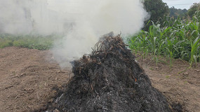 ���ոѷ����������������