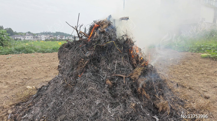 ���ոѷ����������������