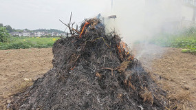 ���ոѷ����������������