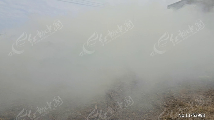 ���ոѷ����������������