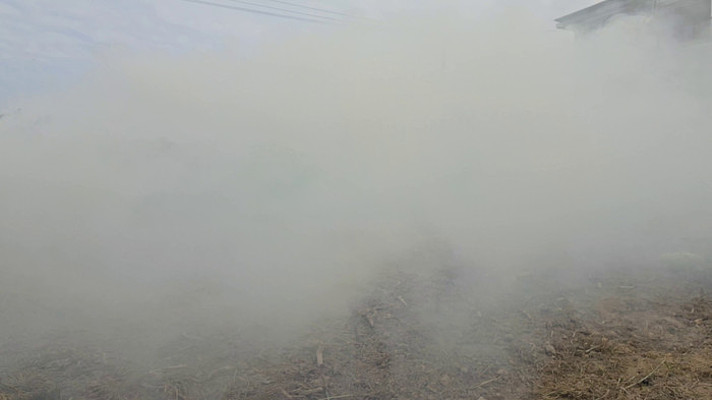 ���ոѷ����������������