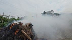 ���ոѷ����������������