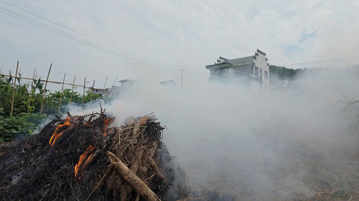 ���ոѷ����������������