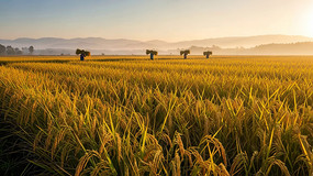 ���ũ�񱳸�������������