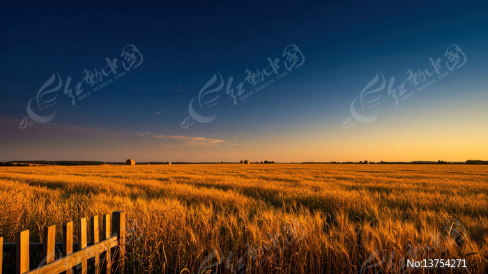 ��Ұ��������ȫ��