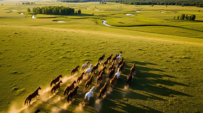 �������ڲ�ԭ����