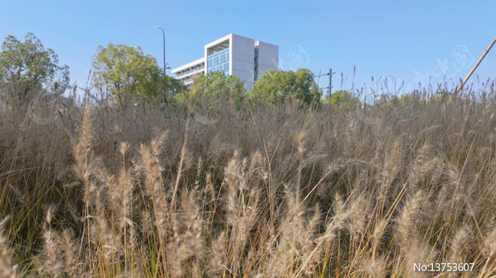 �����ƵĹ�β������н���