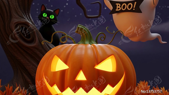 ��ʥ�ں�è�����Ϲϵ��ز�