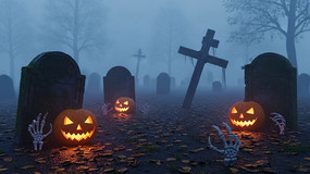 ��ʥ��Ĺ���Ϲϵƿֲ�����