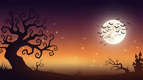 ��ʥ��ҹ���¹��µĹ��쳡��