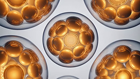 ΢��ϸ���ṹ3D��Ⱦ����