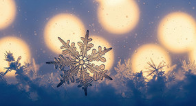 Ψ������ѩ��ͼ