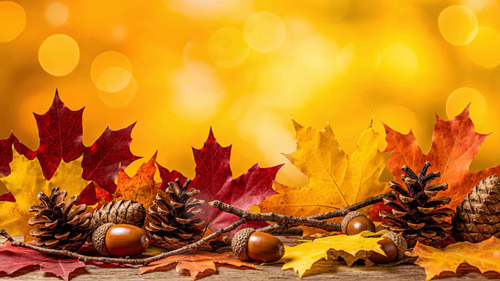 Ψ���＾��Ҷ�ɹ�����ز�