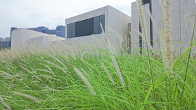 �ִ������빷β��