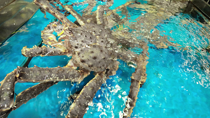 �ʻ����зˮ�ж�̬