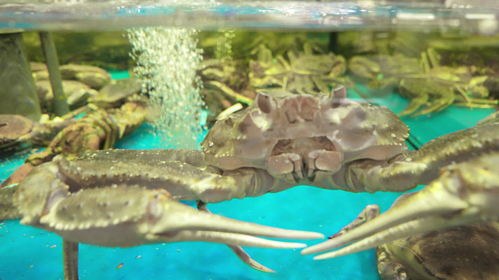 �ʻ����˹ѩз����з