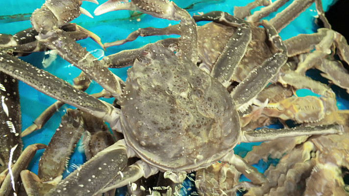 �ʻ����˹ѩз����з