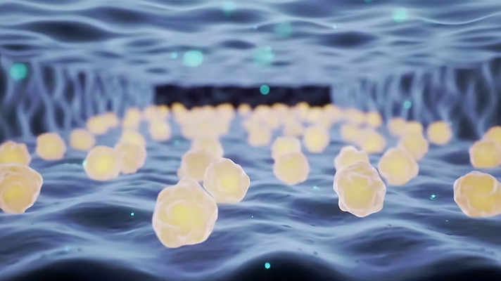 ϸ�����Ӷ�̬΢������